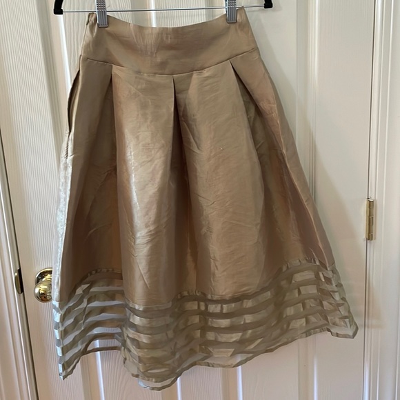 Jasmine - Gold Pleated Skirt with Striped Sheer Panel at Hem - Size Small - Picture 9 of 9